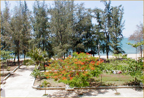 Hình ảnh Ninh chữ - Bãi tắm Ninh Chữ