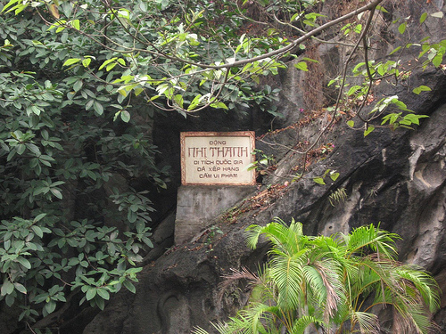 Hình ảnh Động Nhị Thanh - Động Nhị Thanh