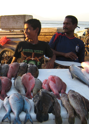 Hình ảnh Cho o Dong Timor.jpg - Đông Timor