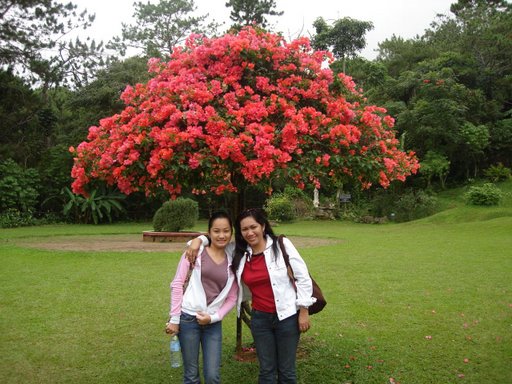 Hình ảnh Davao - Mindanao.JPG - Mindanao