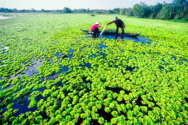 Hình bài viết 4 trải nghiệm nên có ở miền Tây trong tiết trời xuân