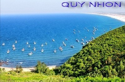 Hình ảnh Bien Quy Nhon.jpg - Bình Định