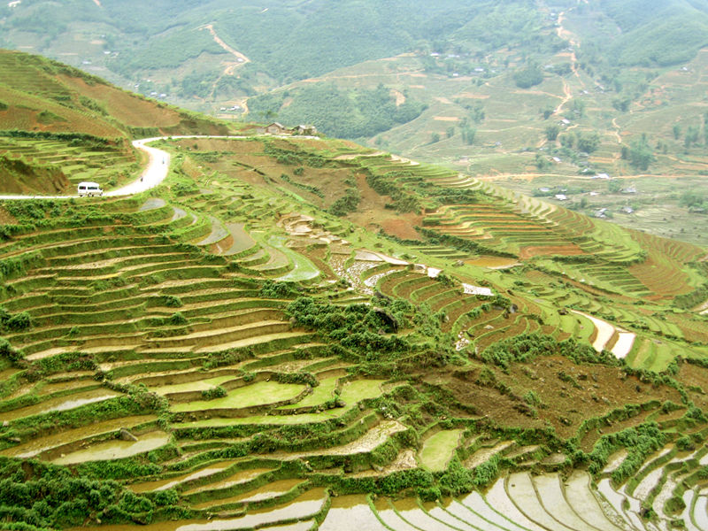 Hình ảnh Ruong bac thang tai Sapa - Sapa