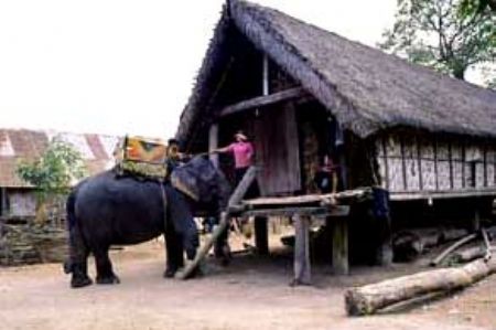 Hình ảnh Buôn Ako Dhong 3 - Buôn Ako Dhong