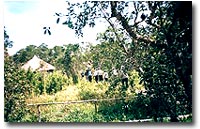 Hình ảnh Khu bảo tồn thiên nhiên Bình Châu-Phước Bửu 1 - Khu bảo tồn thiên nhiên Bình Châu-Phước Bửu