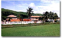 Hình ảnh Núi Nứa 1 - Núi Nứa