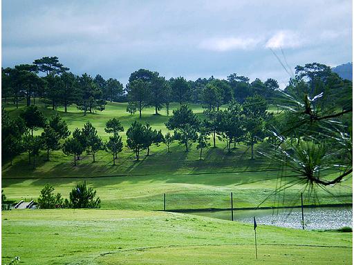 Hình ảnh Câu lạc bộ golf Ðà Lạt 2 - Câu lạc bộ golf Ðà Lạt