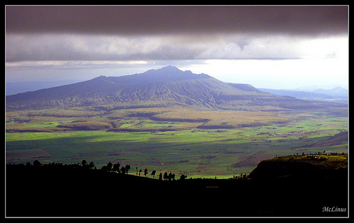 Hình ảnh Kenya 4 - Kenya