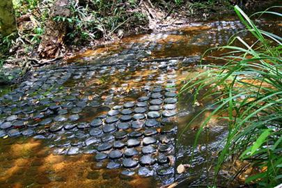 Hình ảnh untitled - Kbal Spean