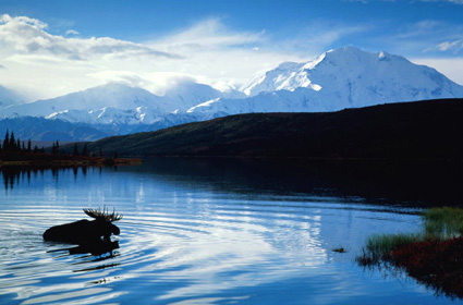 Hình ảnh 11 - Alaska