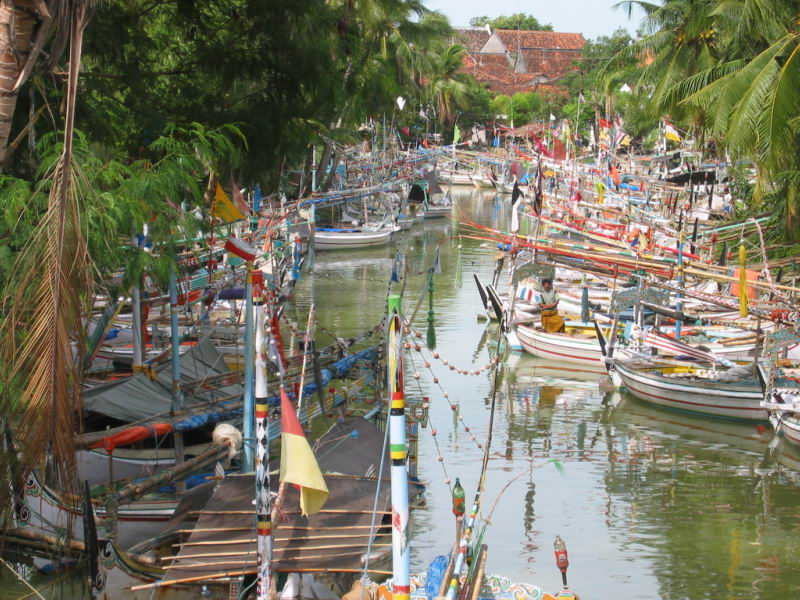 Hình ảnh 800boats%20in%20northern%20Madura - Đua bò ờ Madura