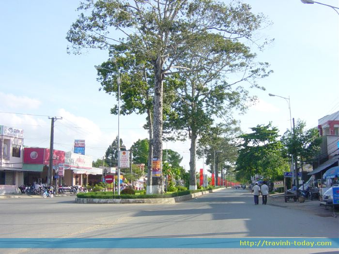 Hình ảnh que toi - Trà Vinh